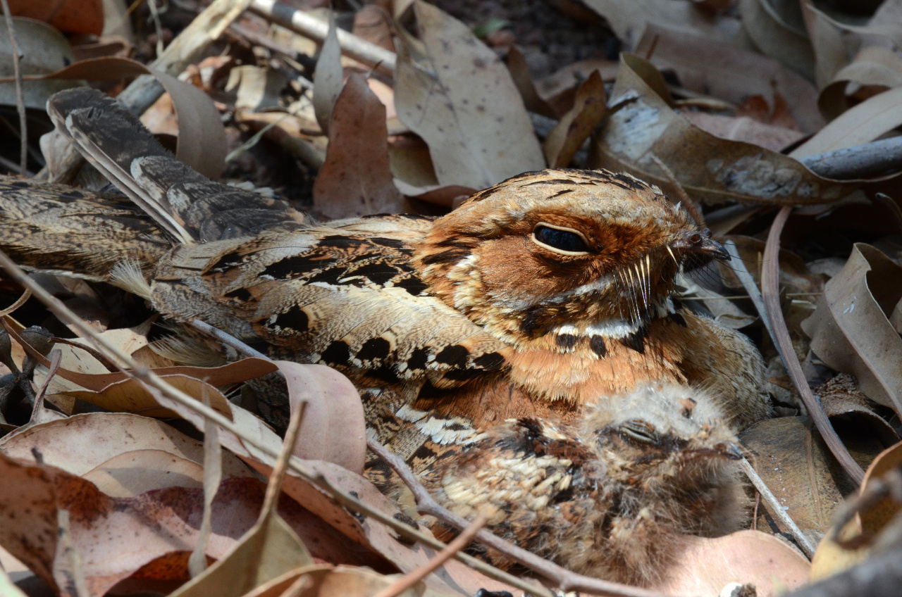 Hide-and-seek, but not as you know it